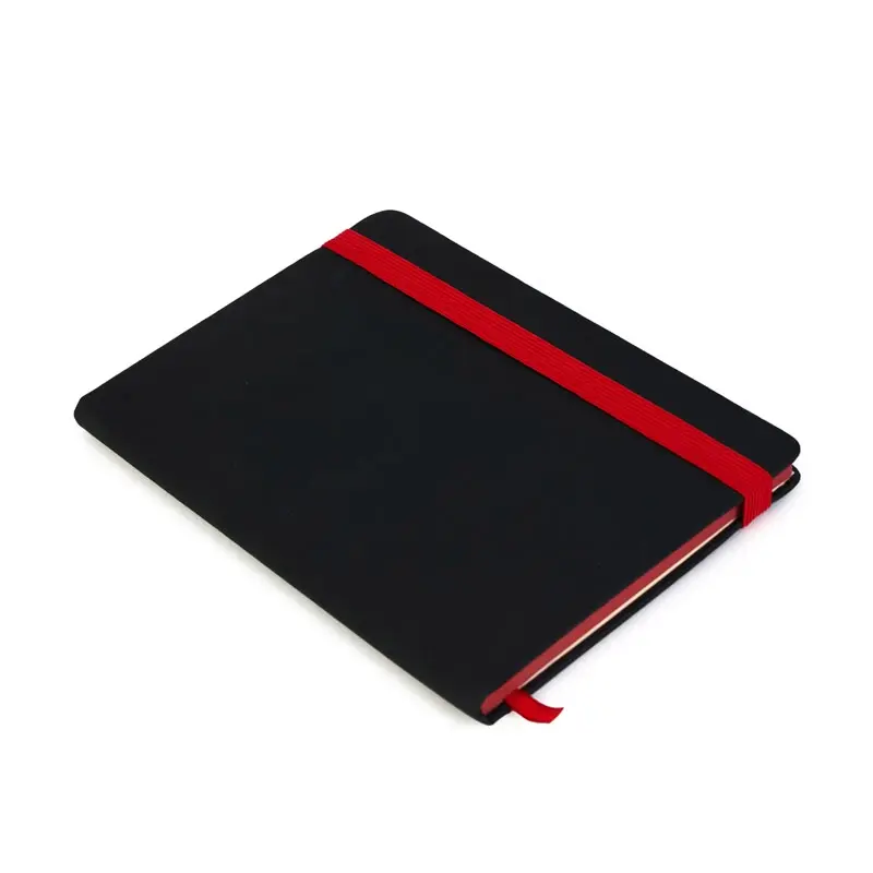 Daily Book University Color