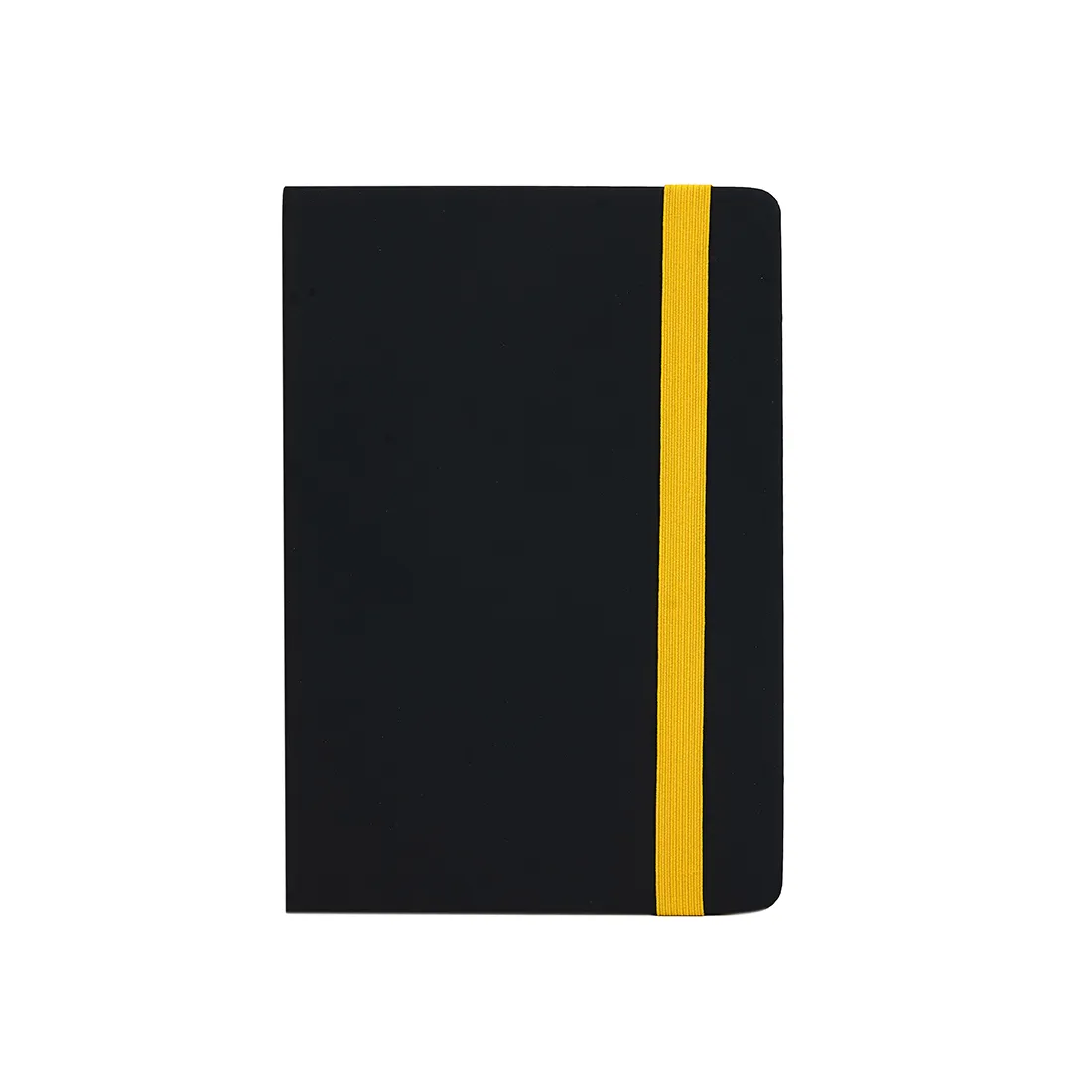 Daily Book University Color