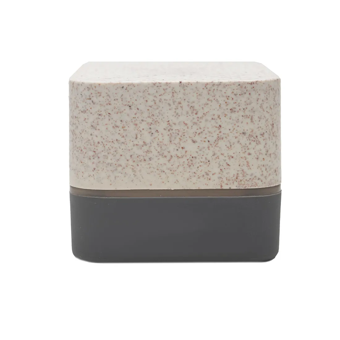	Parlante Wireless Earth