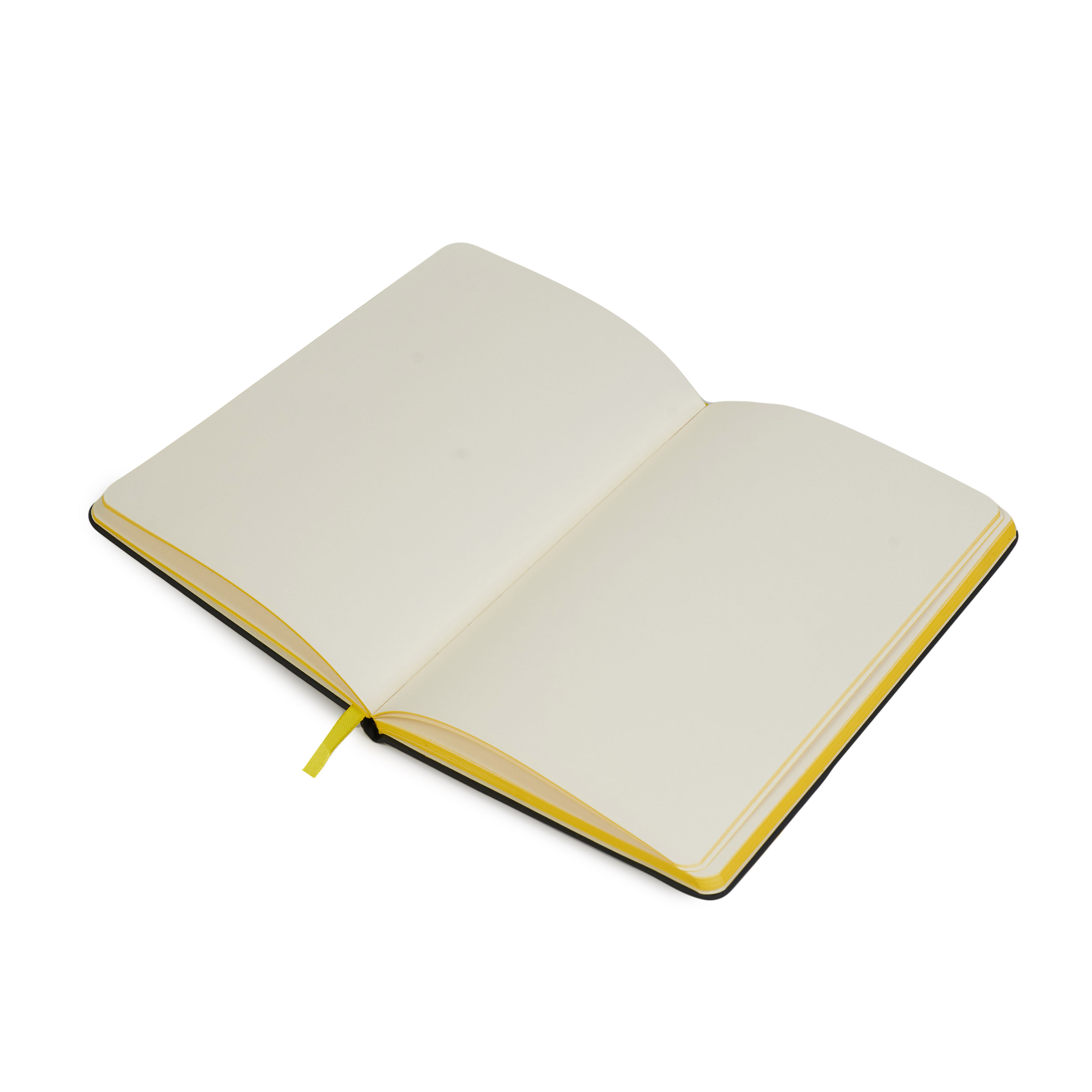 Daily Book University Color