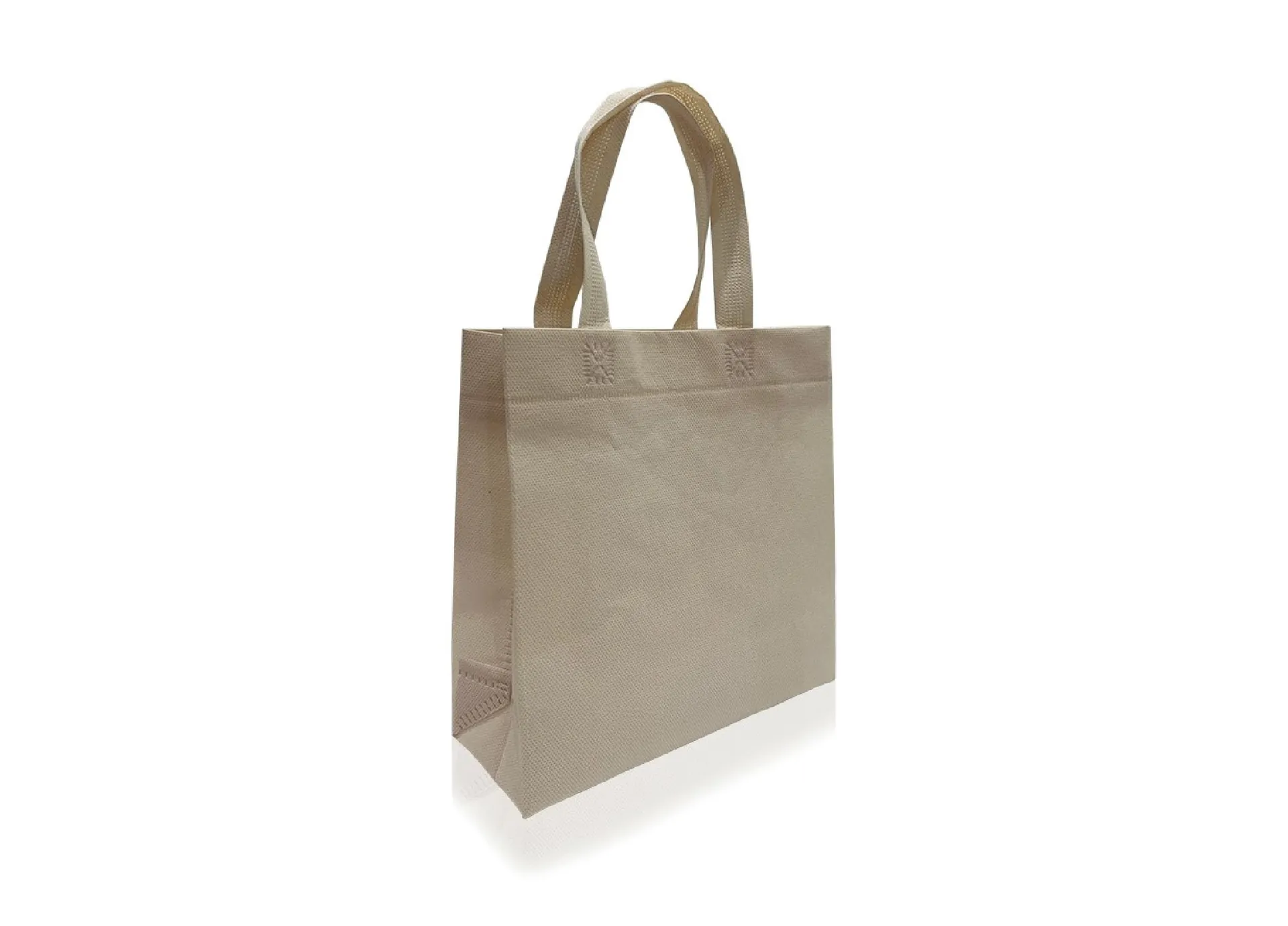 ECO BOLSA 25X25X9X9 CON MANIJAS