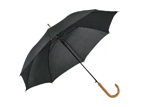 Paraguas Automático
