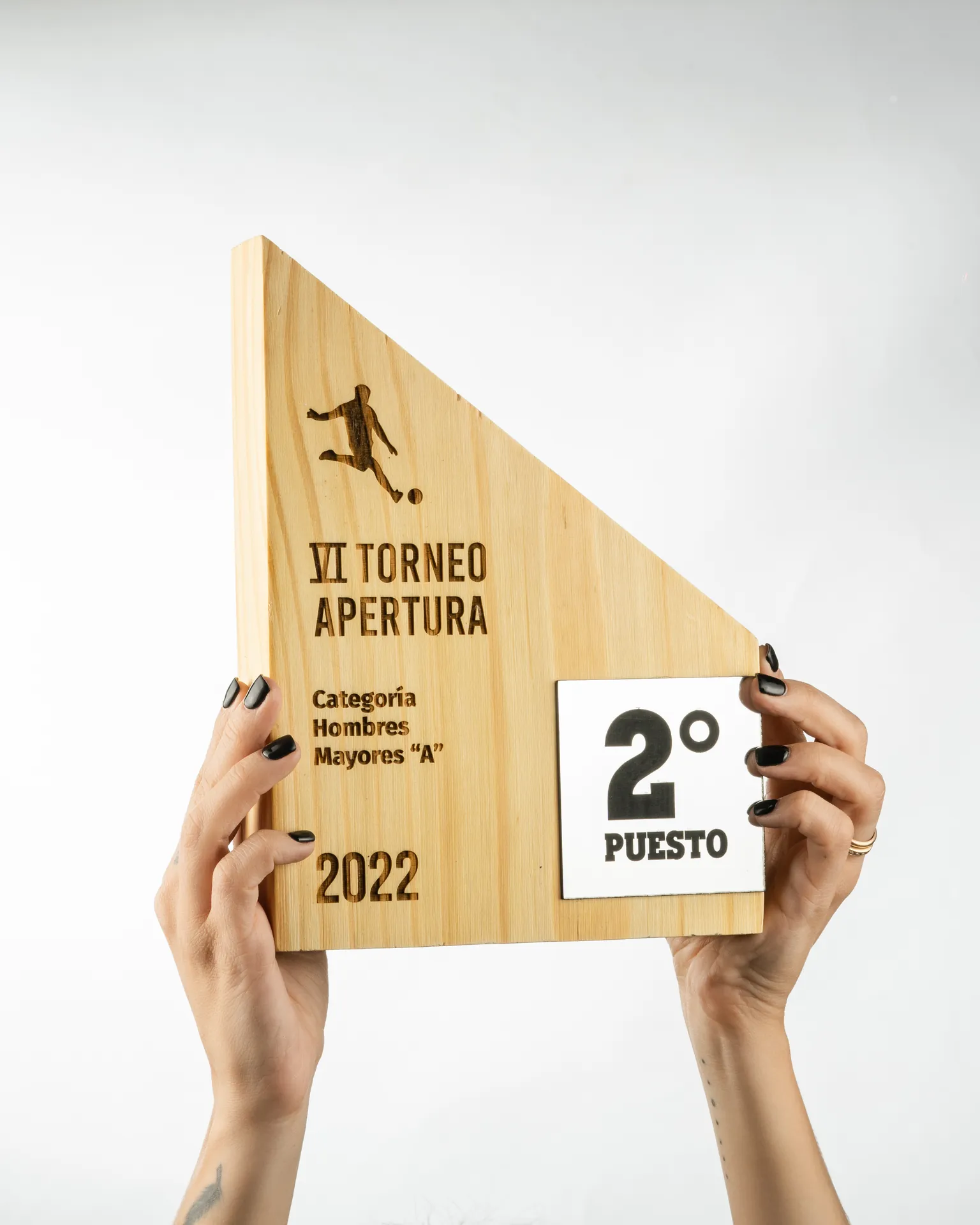 1º, 2º y 3º Puesto de pino y bicapa plata 