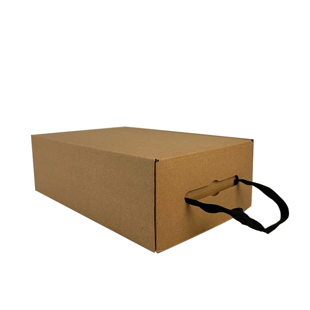 Caja Bolsa 22x33,5x11 con separador