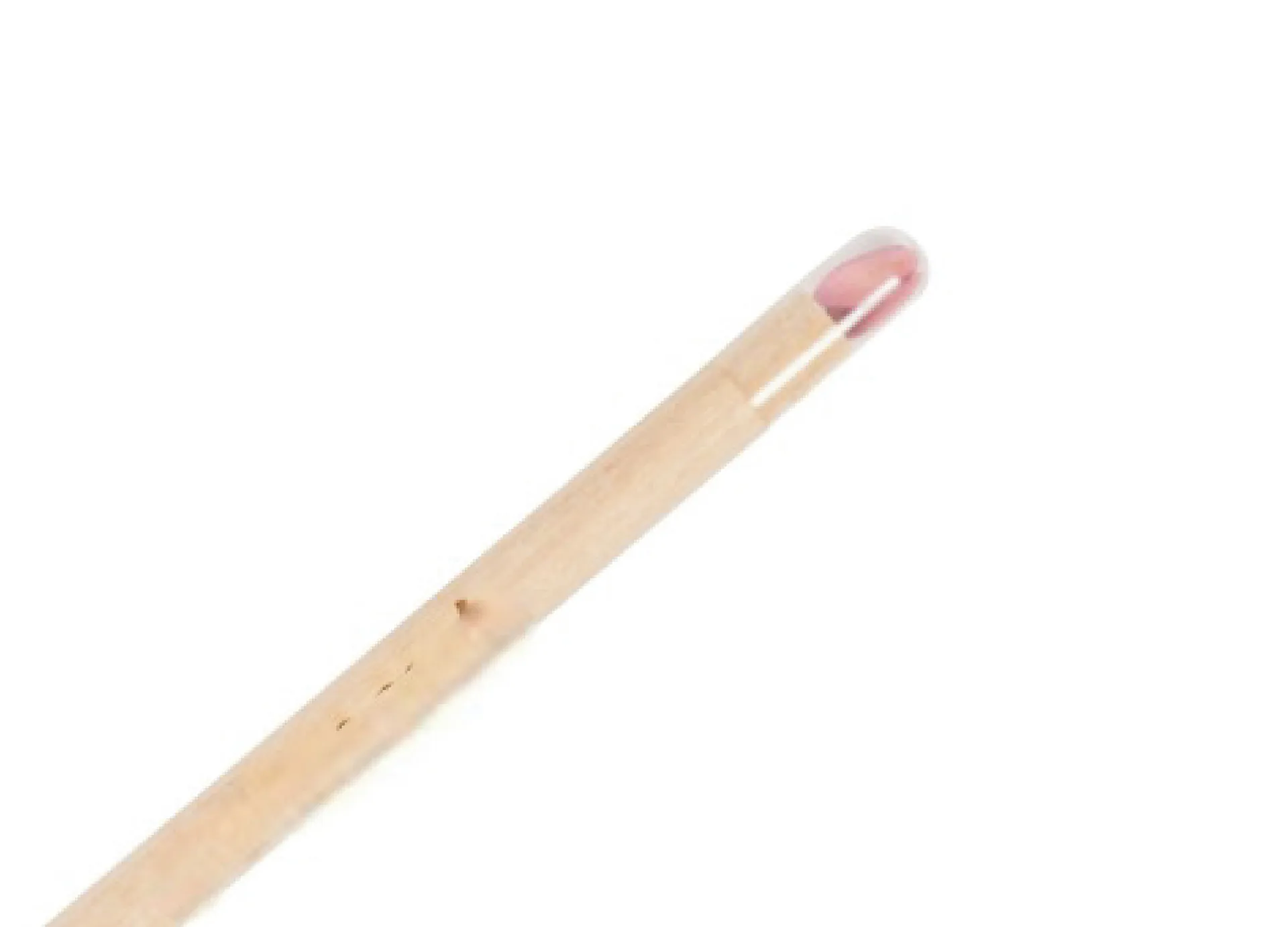 Lapiz de Madera Plantable