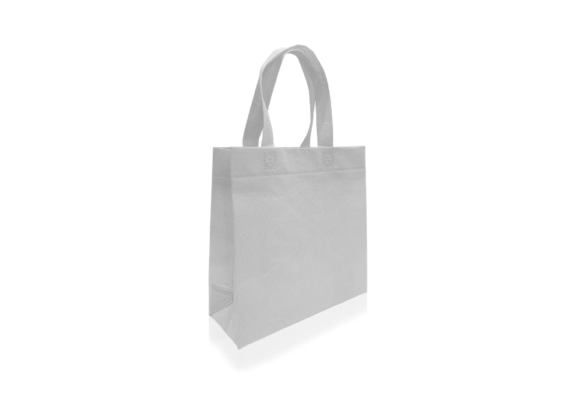 ECO BOLSA 25X25X9X9 CON MANIJAS